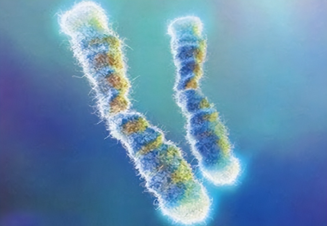 90岁老人去世前有什么征兆,老人即将去世眼睛征兆是什么样的