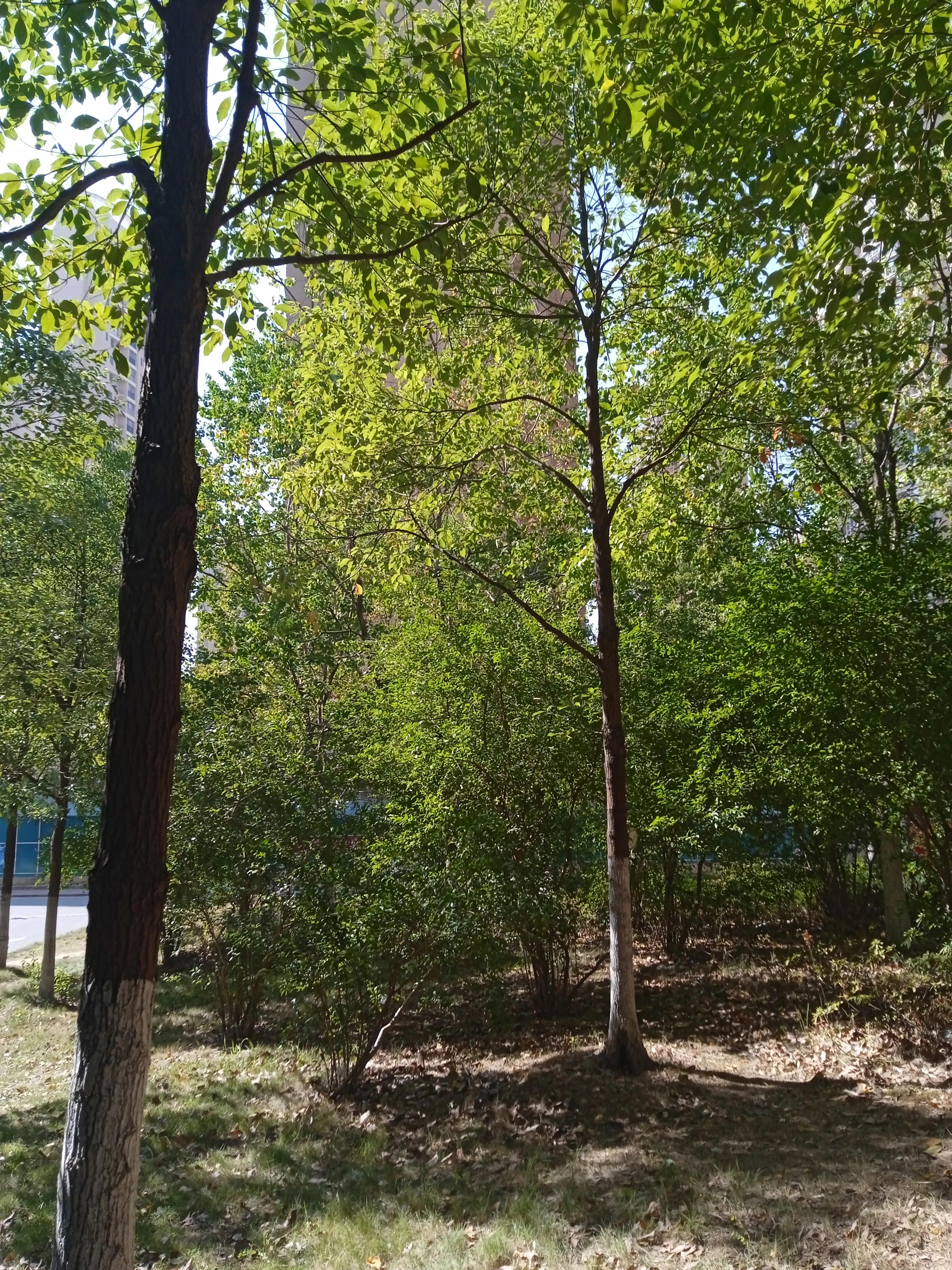 赚钱最终为了什么,赚钱的最终目的为了买房