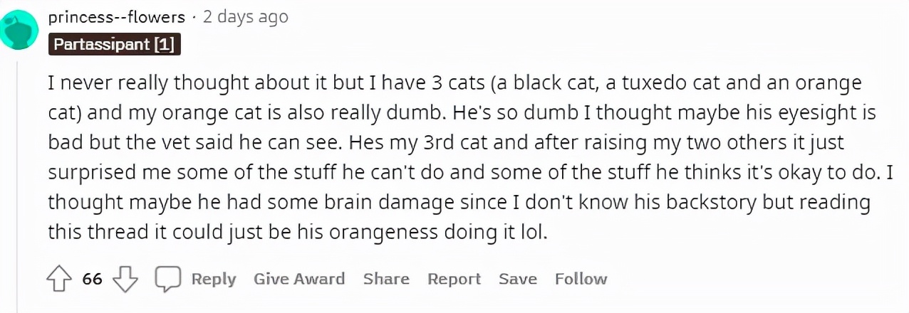 澶栧浗灏忓摜鍚愭Ы濂崇敓,澶栧浗灏忓摜鍚愭Ы宸ヤ綔