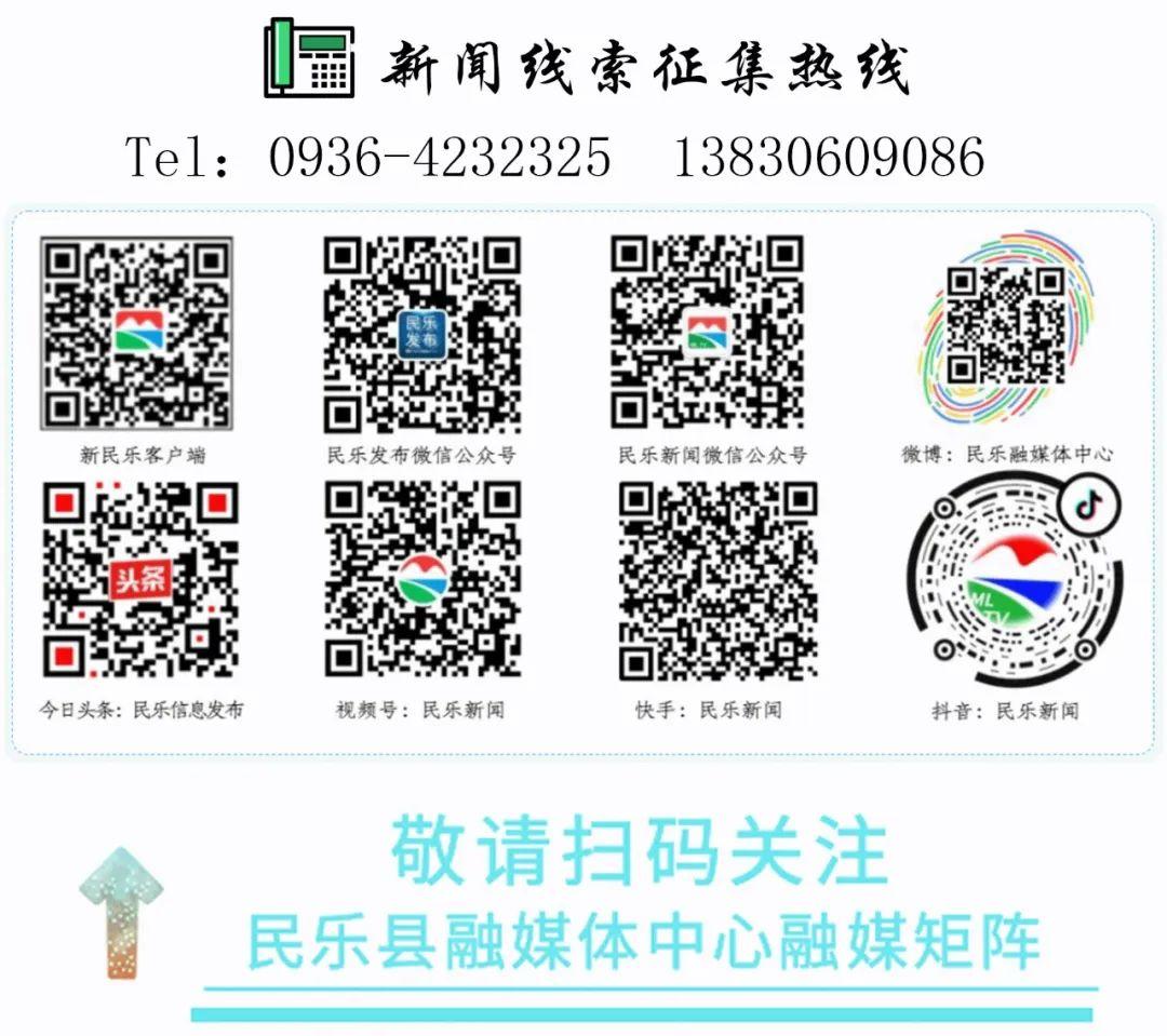 坚持依法行政全力推进法治政府,树牢法治思维依法行政效率高