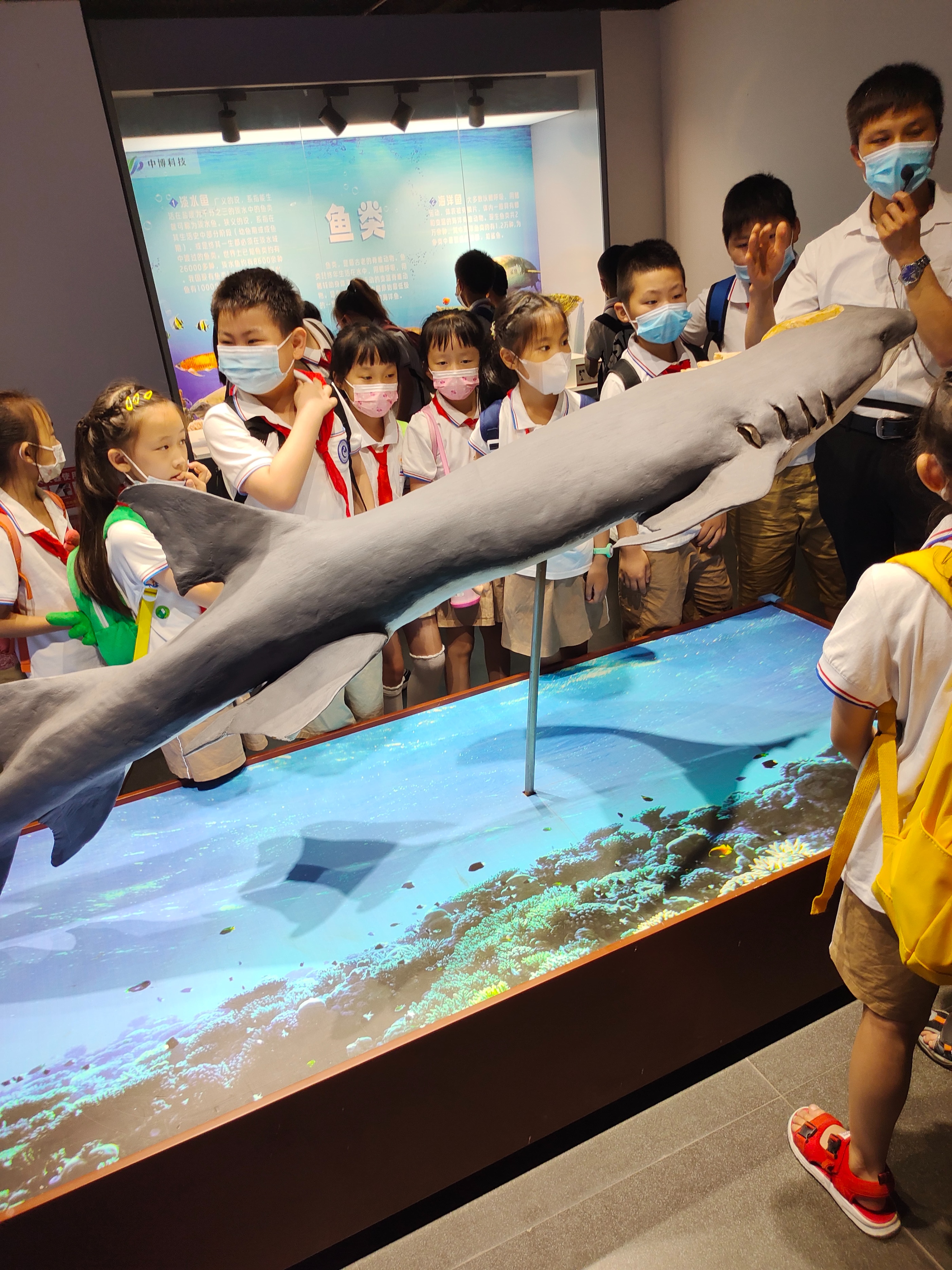 郑州生命自然科学馆,生命科学馆之旅