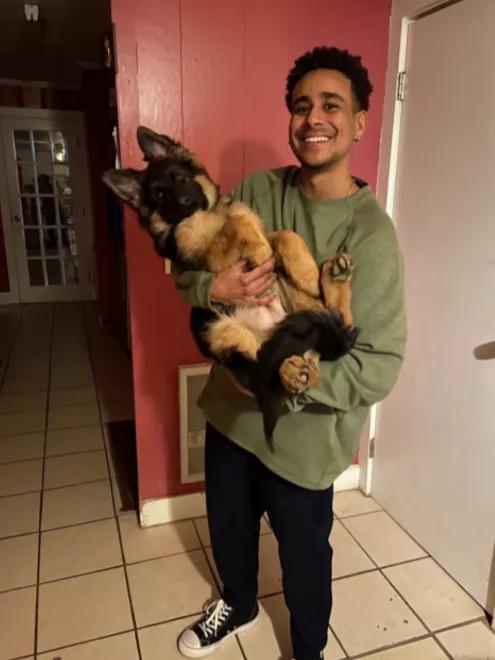 小黄狗长大的过程,小黄狗长大过程