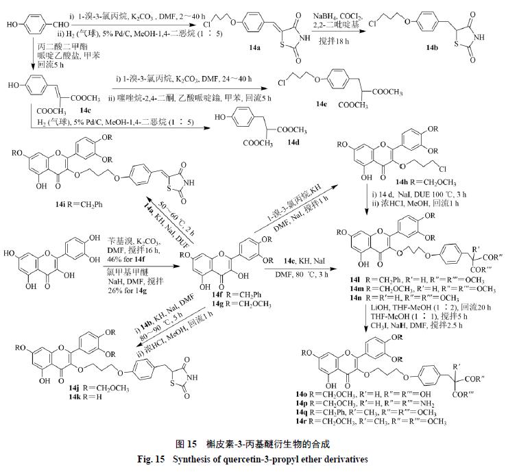 槲皮素的氧化机理,槲皮素的有关药物活性成分