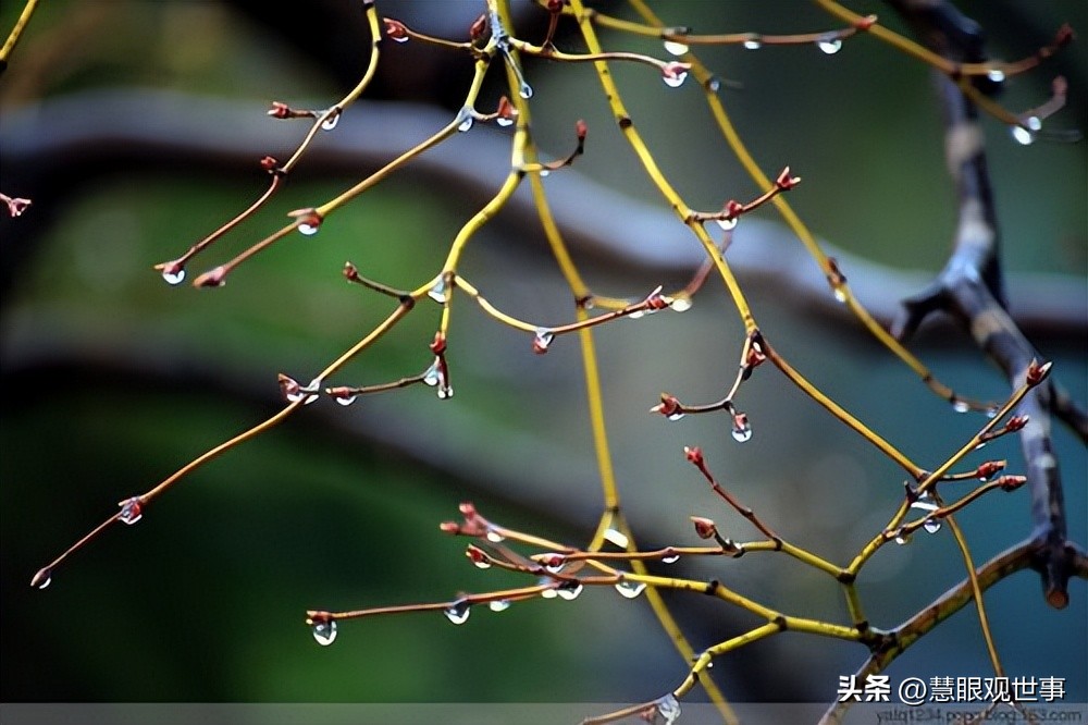 自然现象的古诗词,学生必背古诗词41到60句