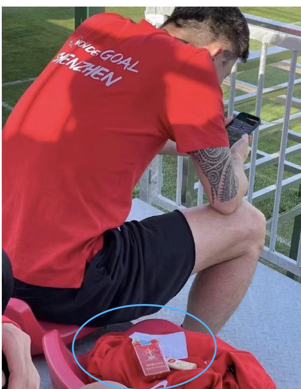 郜林坠机事件,郜林干了什么事