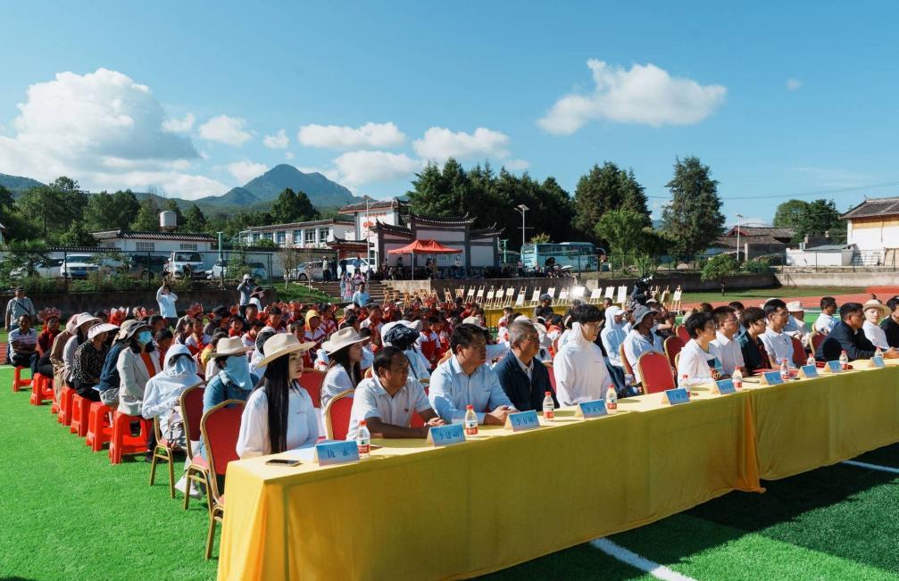 薇诺娜做项目,薇诺娜能干什么