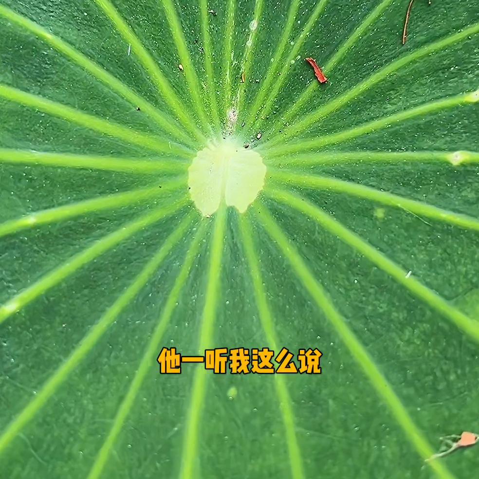 涓堟瘝濞樼殑蹇冮吀鐢熸椿,涓堟瘝濞樼殑蹇冮吀浜嬭抗