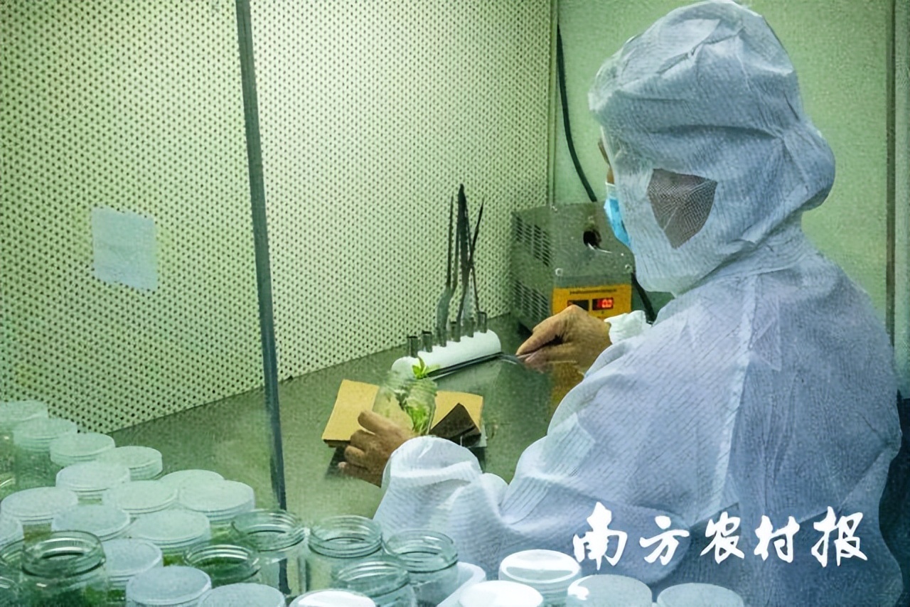 此心安处是吾乡全诗,吾心归处是吾乡议论文