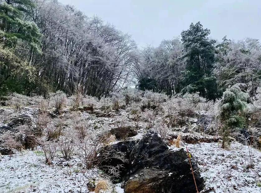 云南开远市下雪吗,开远多少年没下雪了