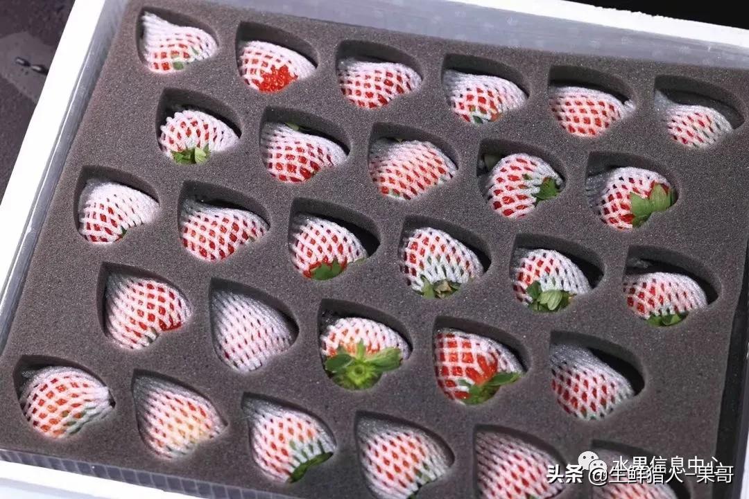 在水果中浆果是分哪几种,水果分类浆果