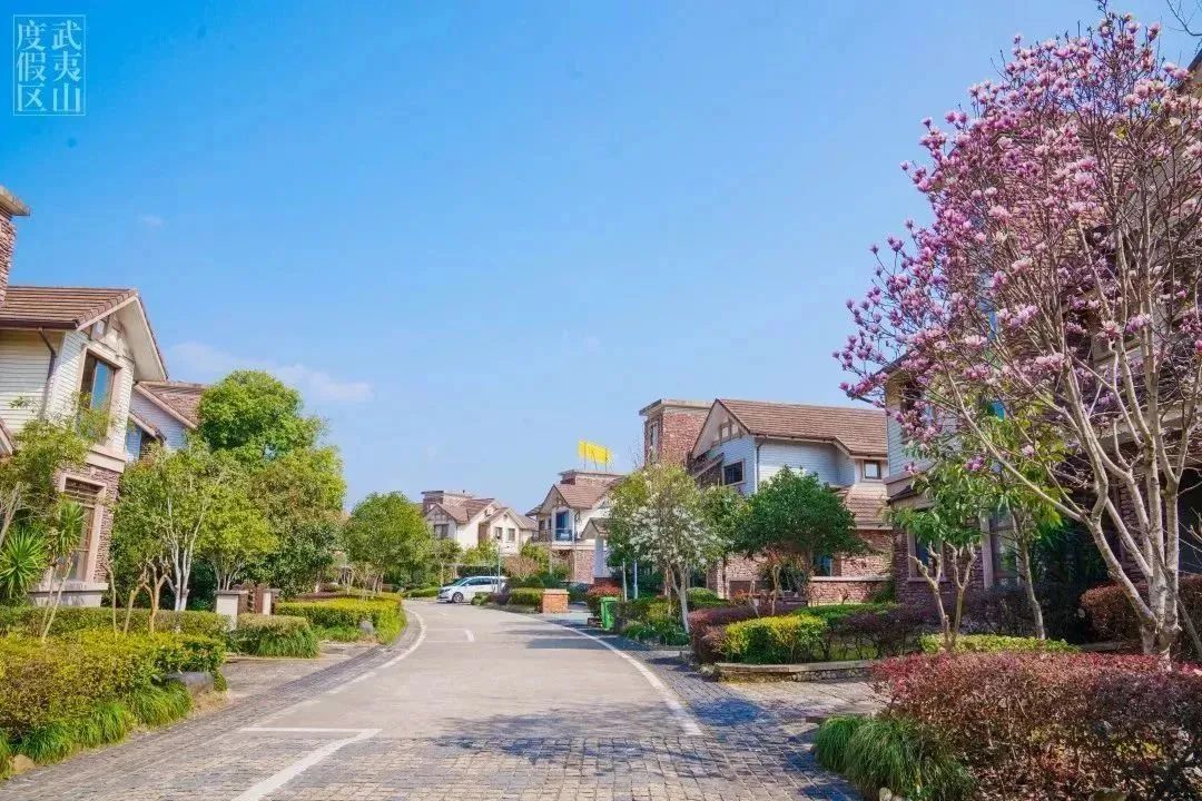 武夷山水庄夜晚,武夷山景区攻略玩水的地方