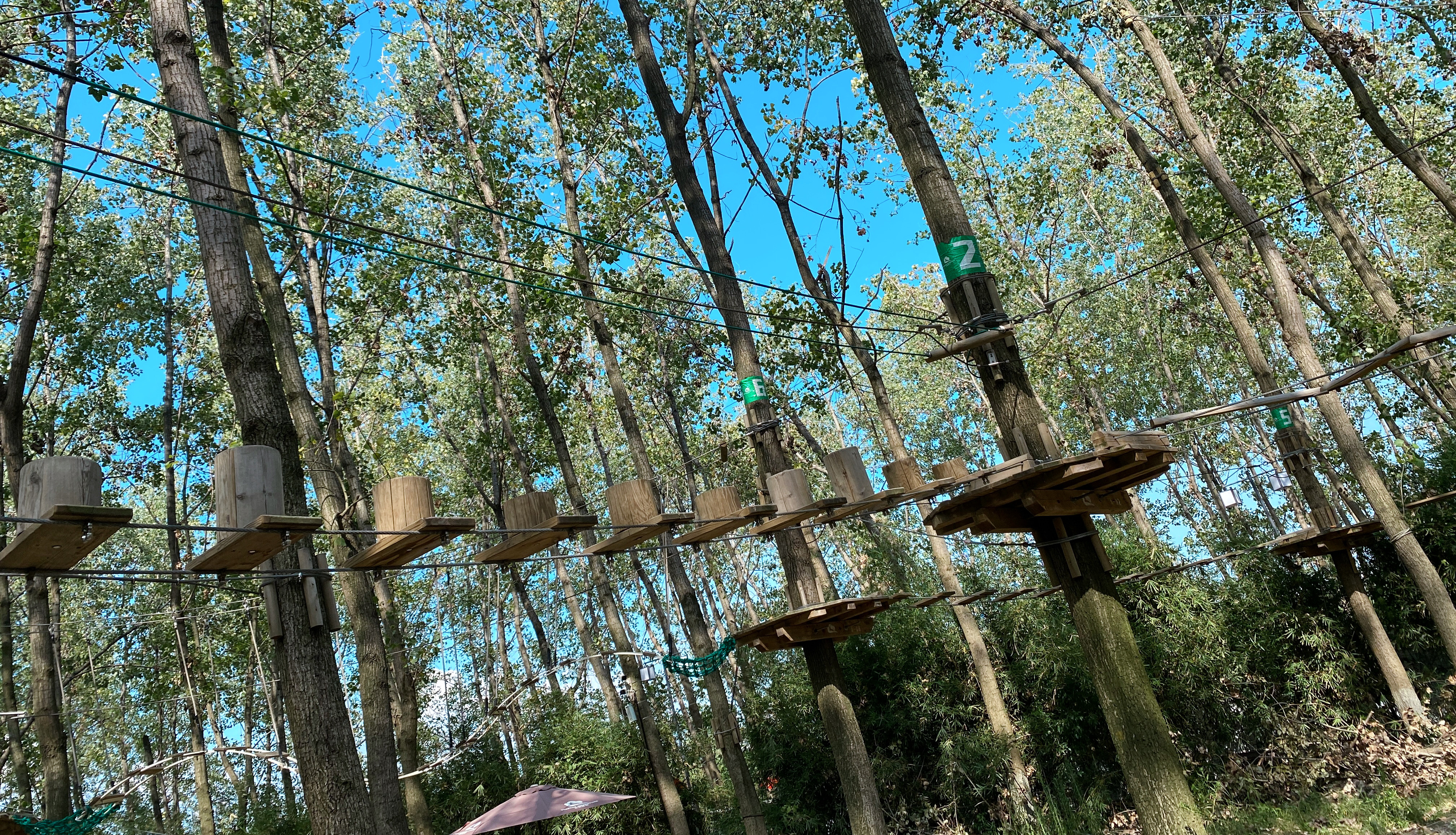 苏州树间跳动森林探险乐园介绍,苏州树间跳动探险乐园