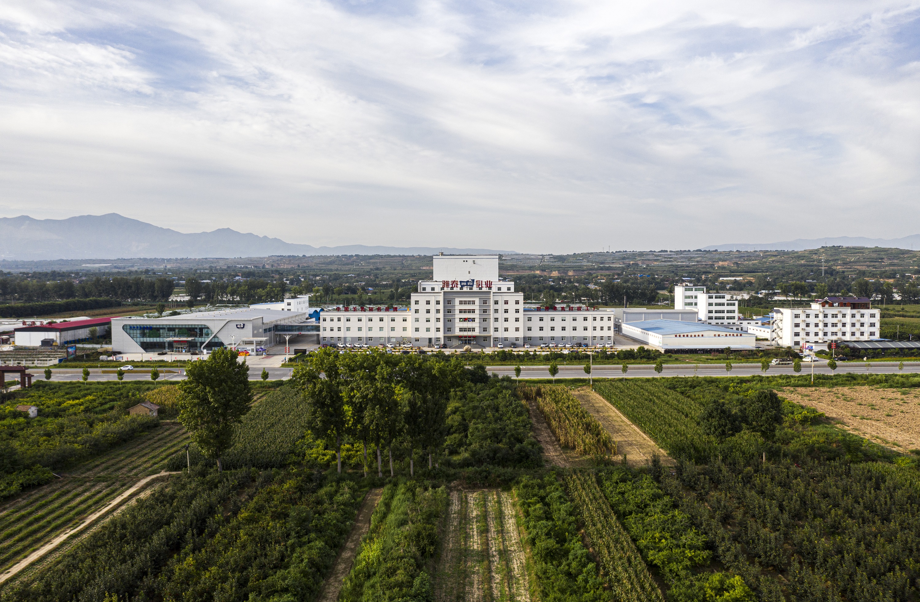 雅泰羊奶粉质量如何,雅泰朵恩羊奶粉优点和缺点有什么