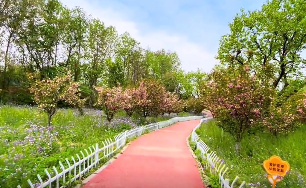 郑州周边免费遛娃的地方,郑州周边遛娃好玩的地方推荐