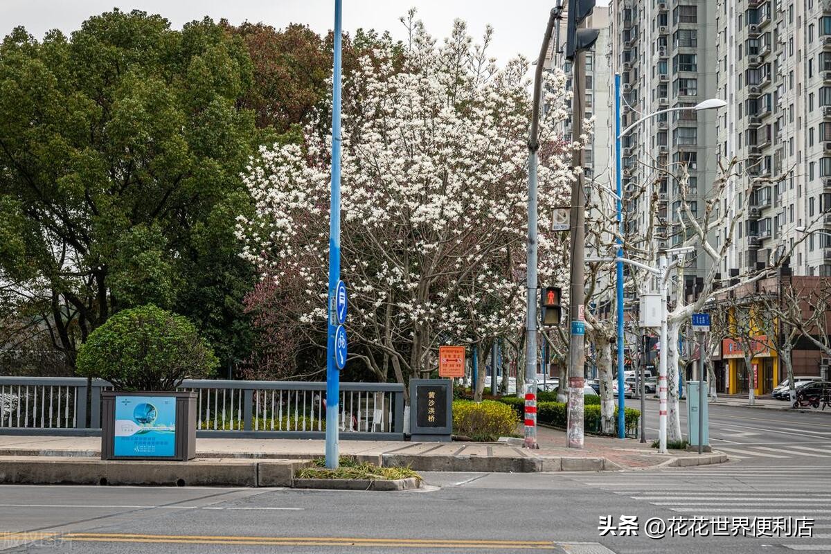 青浦城区和青浦新城板块有啥区别,上海五大新城青浦前景最好