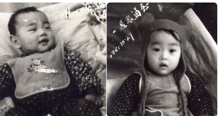 功不可没在线观看完整版,功不可没纪录片完整版