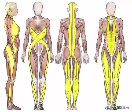 新手该怎么练习正脚背,脚背受限了最简单的练法怎么练
