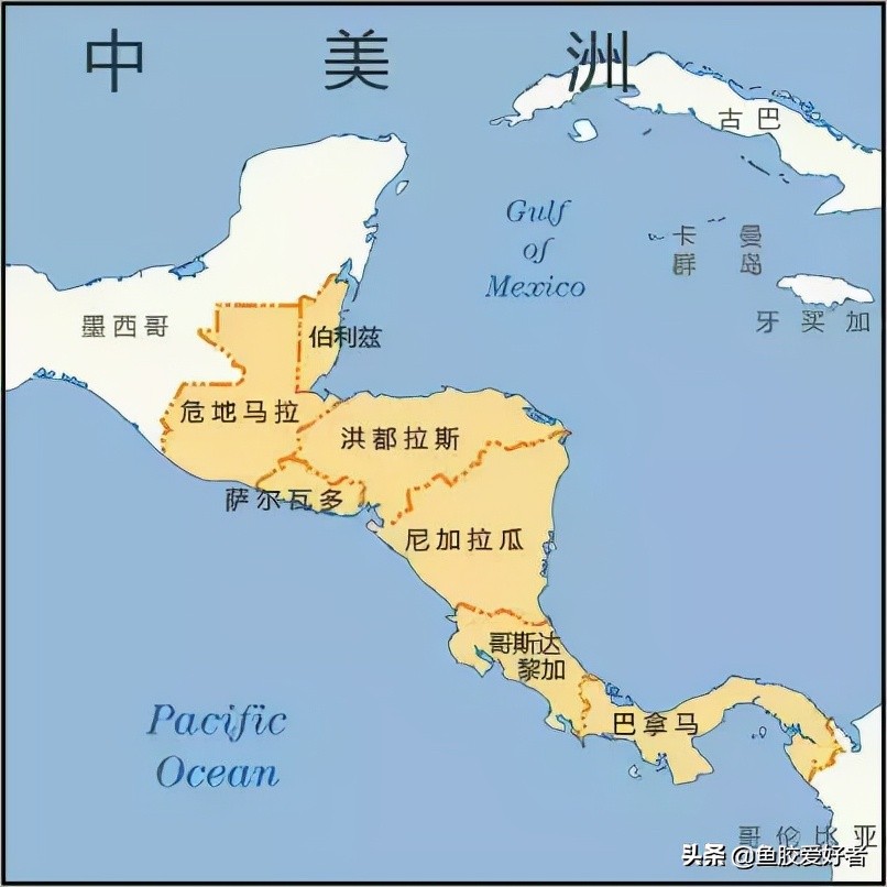 鱼胶全球产地分布图,买鱼胶哪些产地最正宗