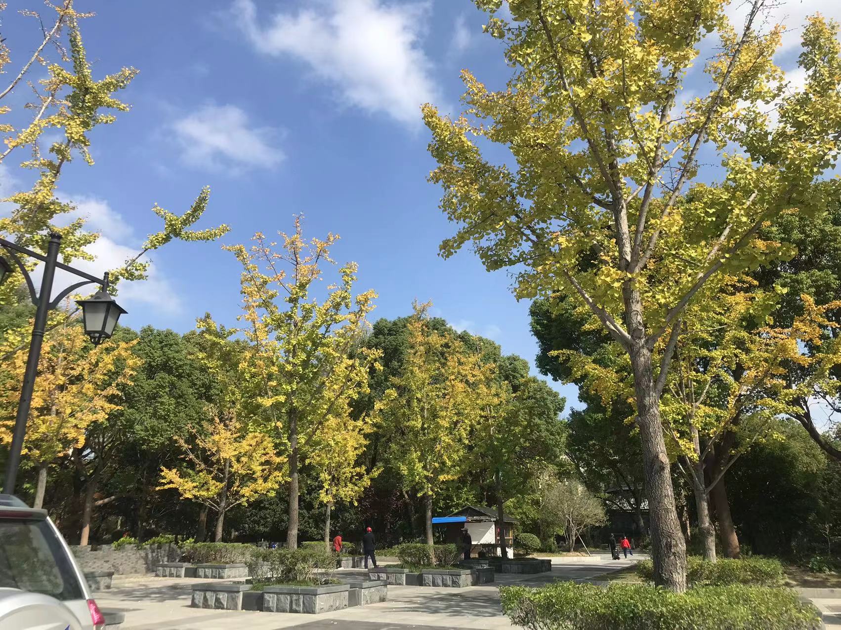 州桥老街和安亭老街哪个好,州桥老街安亭老街