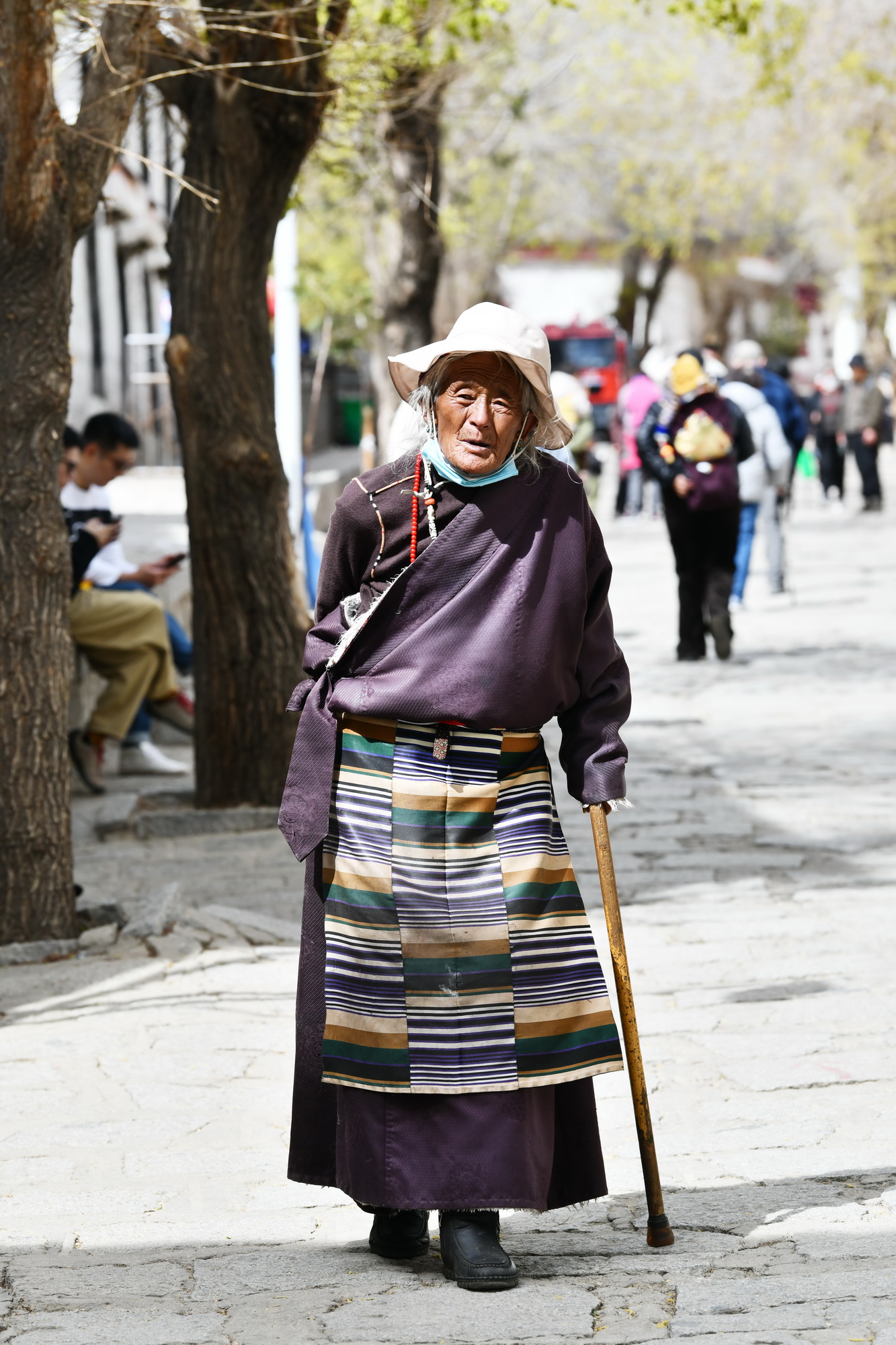 我的林芝一日游攻略,林芝看桃花西藏之旅