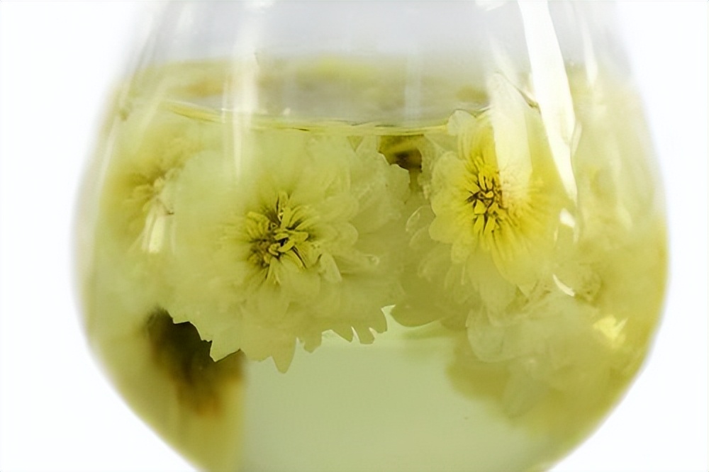 哪几种菊花茶的口感比较棒,有没有好一点的菊花茶推荐