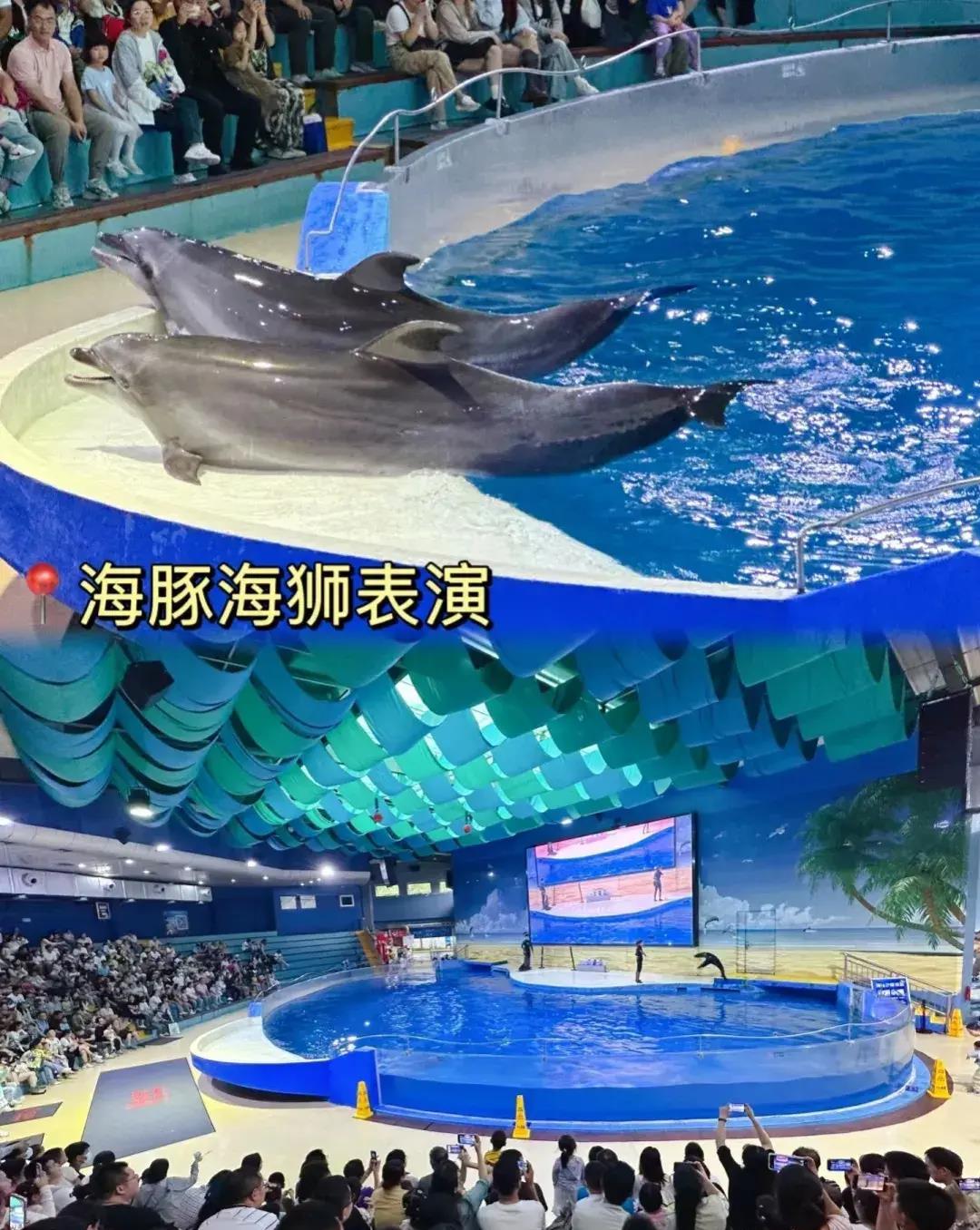 南京海底世界免费旅游,南京海底世界潜水门票