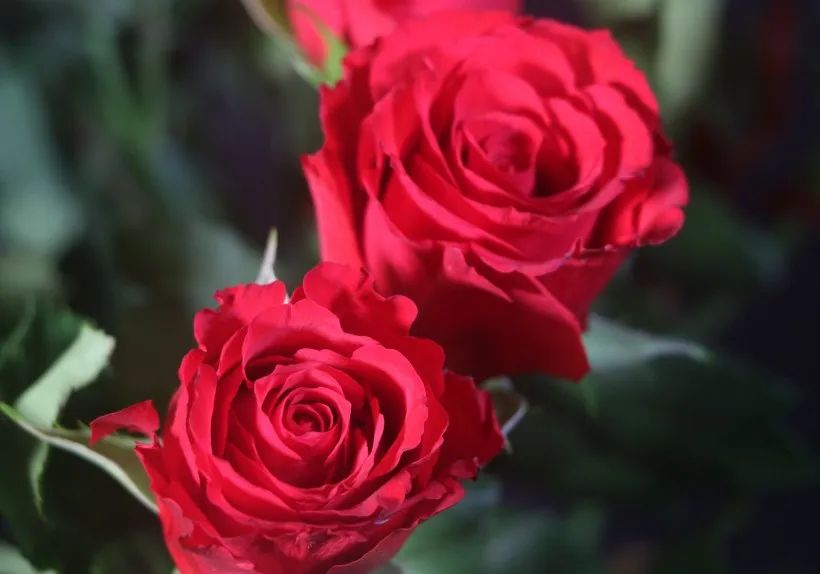 520祝福老婆永远健康快乐,520的平安祝福