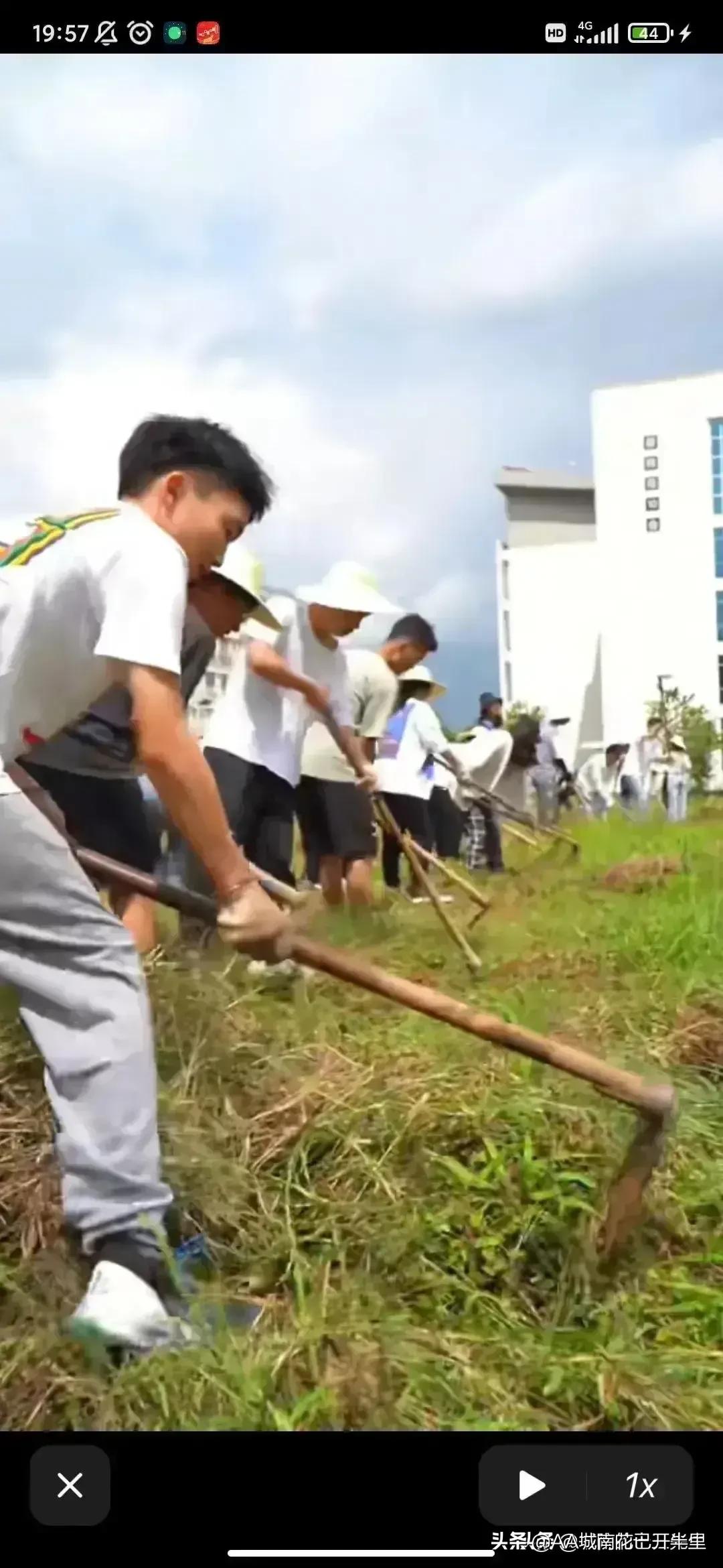 云南农大招生简章火了,云南农大招生简章是什么梗