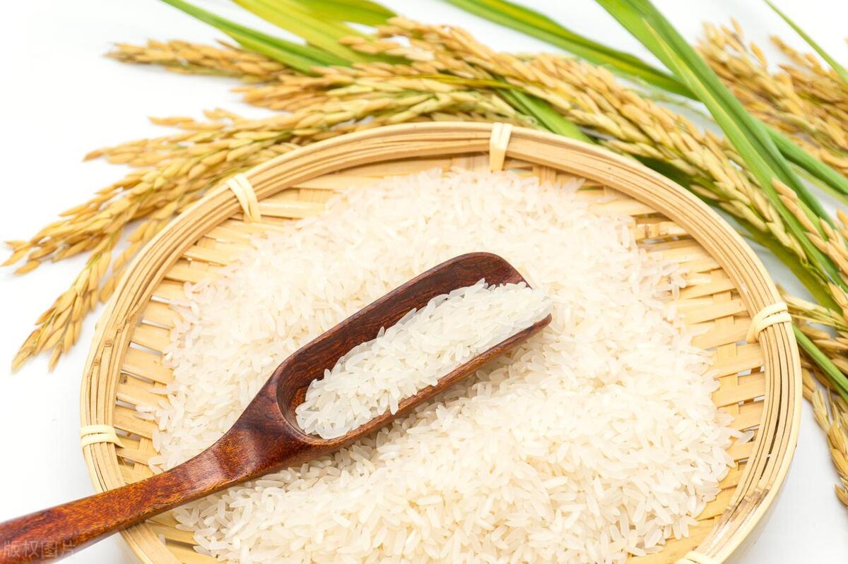 河南大米铺利用“人性的弱点”，一年内盈利89万，这是什么套路？