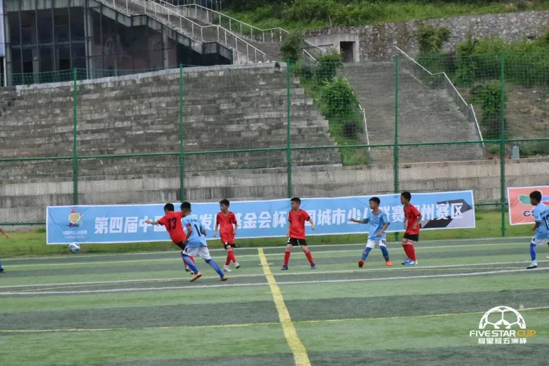 广西贺州中华杯足球赛,第五届中国足球发展基金会杯