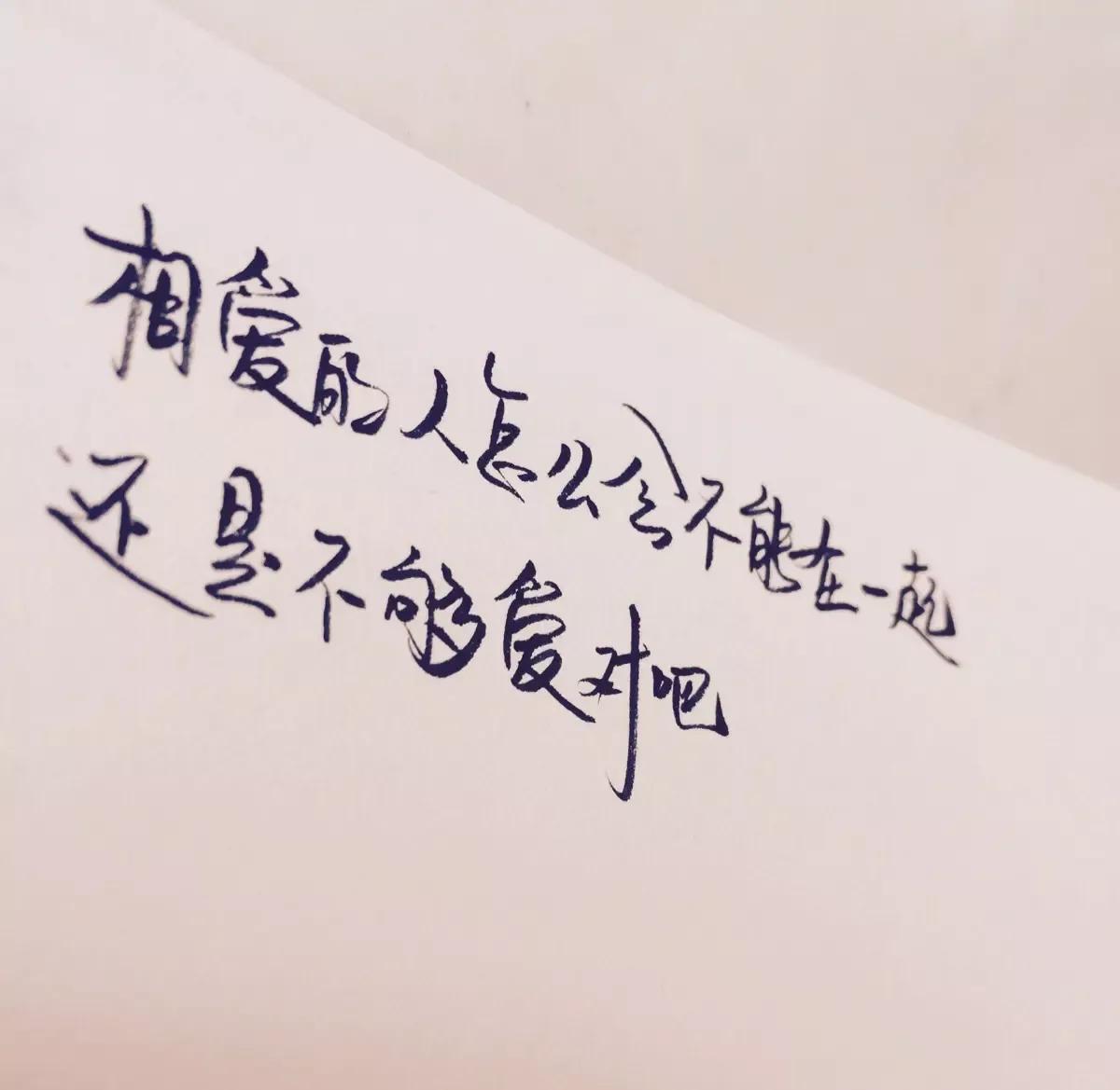 那纷纷扬扬的花瓣犹如万千飞碟，在蓝天下飞扬着翩跹的舞姿