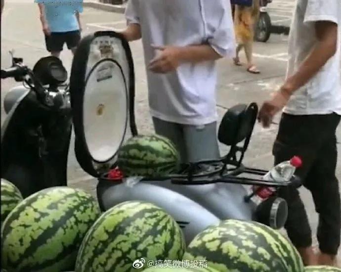 精工所有手表,精工电视手表t001