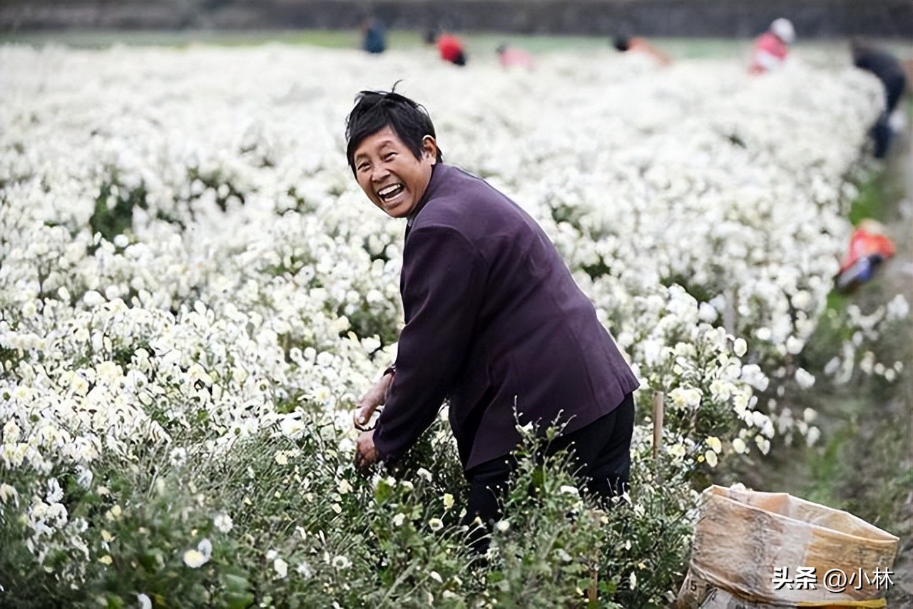 遇见生活遇见最美的你,震撼遇见最美的你