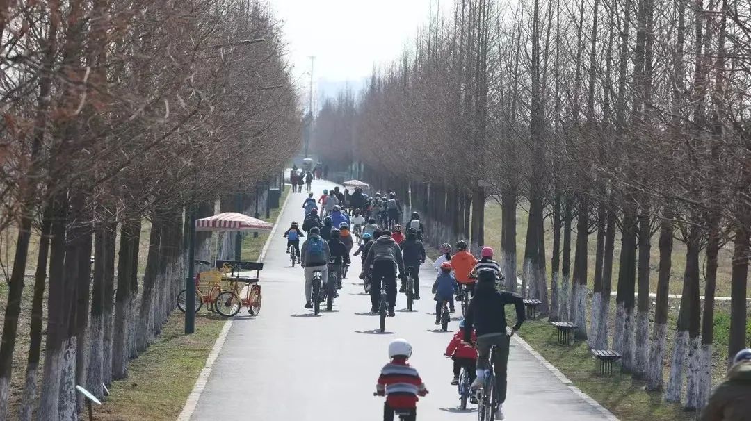 上海露营卡丁车哪里好玩,魔都自驾露营怎么玩