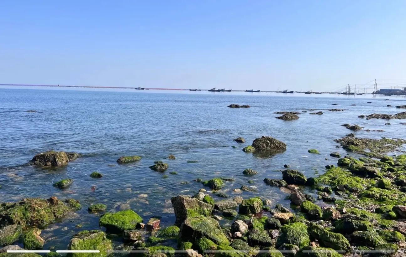 大连塔河湾浴场门票多少,大连银沙滩游玩攻略