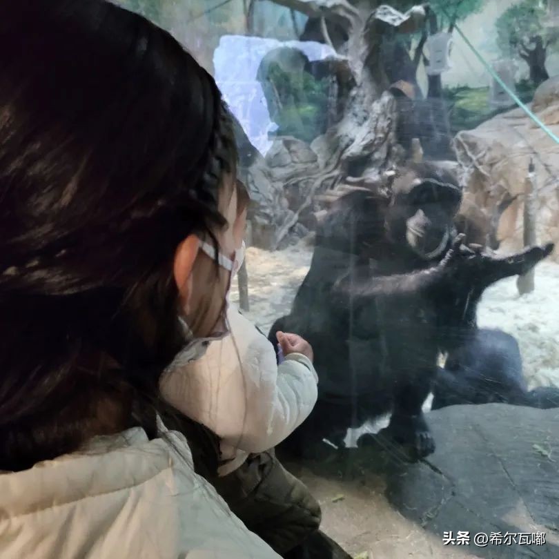 长隆游玩攻略推荐,长隆海洋王国游玩攻略大全视频