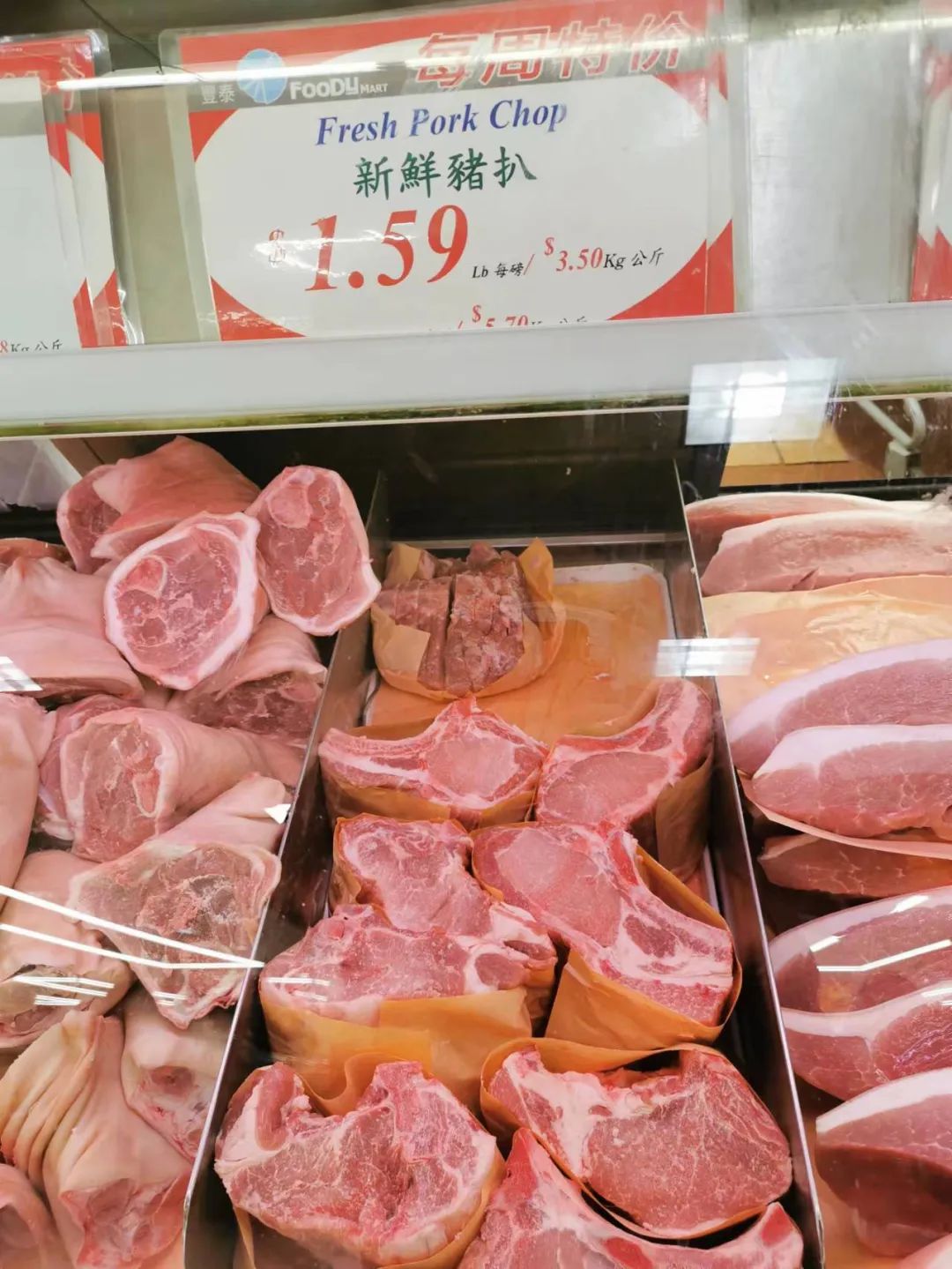 移民多伦多需要什么,移民多伦多做什么