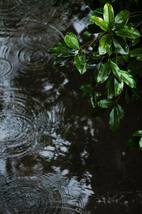 情感散文夏日听雨,散文夏日情怀