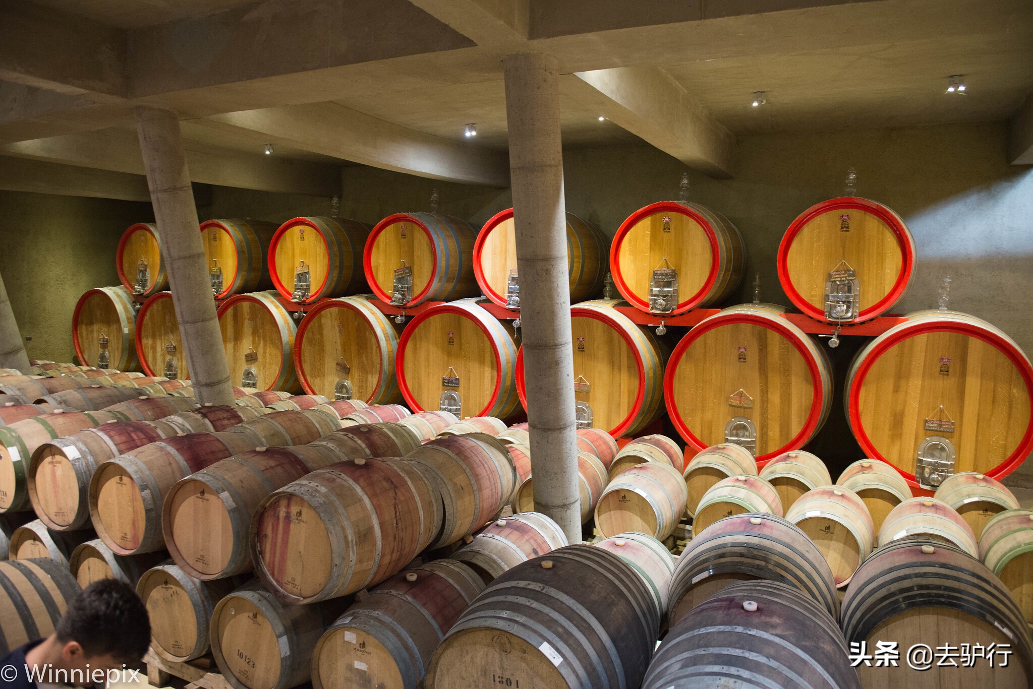 智利和法国的红酒有什么区别,智利的红酒有哪些值得买