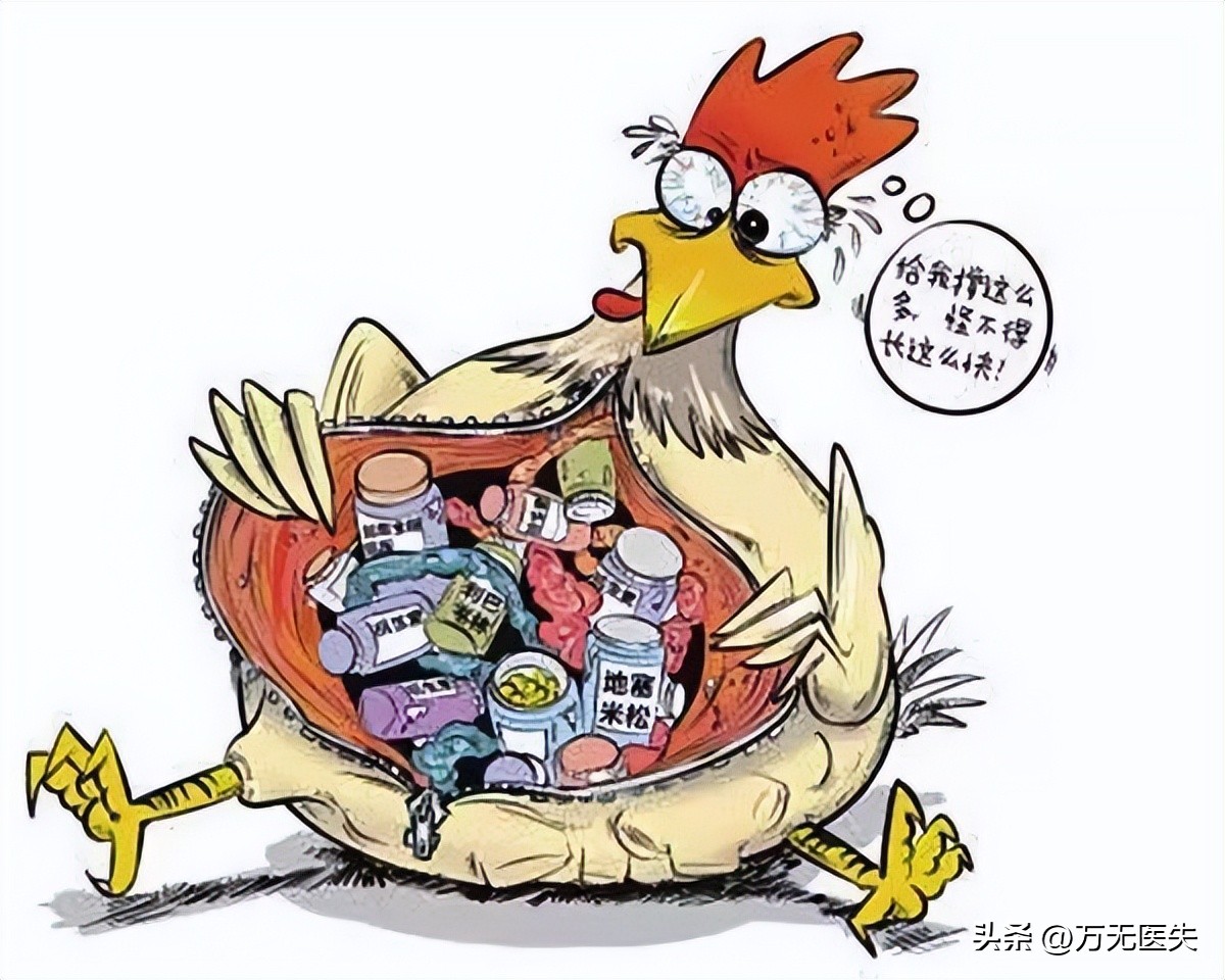 哪些鸡蛋检出兽药超标,重点曝光多批鸡蛋检出兽药