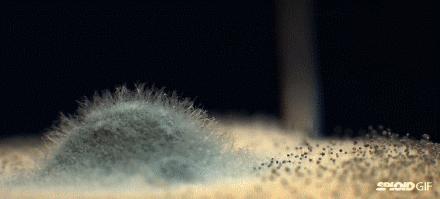 夏天屋内霉斑,下雨受潮的霉斑怎么清洗