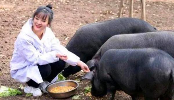 大学生毕业就业的10个方向（非专家建议，没有深度）