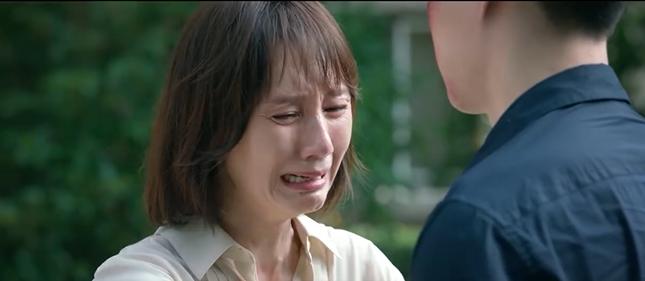 相逢时节定档卫视,相逢时节38哪天播