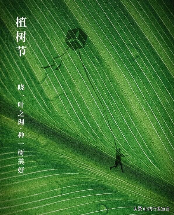 植树节品牌事件营销,植树节口号品牌策划设计