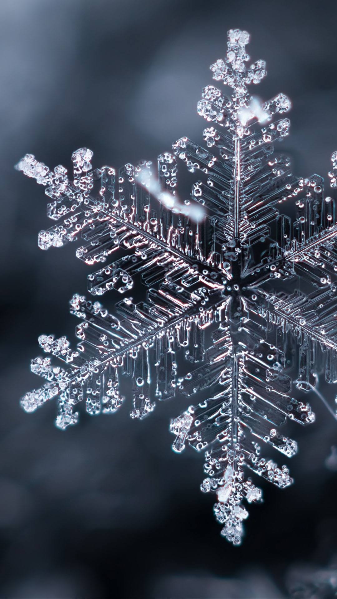 墨海扬波诗词47首,墨海扬波诗词全集