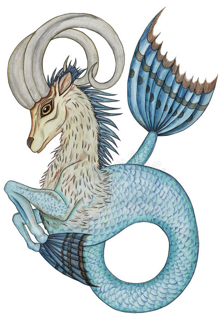 摩羯座2023运势事业运势,摩羯座2023运势