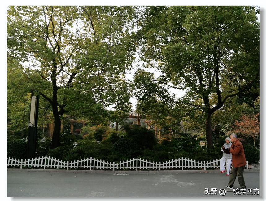 上海长风海洋公园和自然博物馆,上海长风公园占地面积