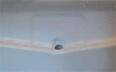 冰箱胶条起霉点了用它一擦就干净,冰箱密封条发霉用84消毒液可以吗