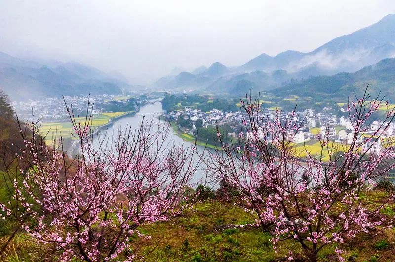 2020梦幻之秋婺源三天摄影创作团,醉美婺源摄影地点推荐