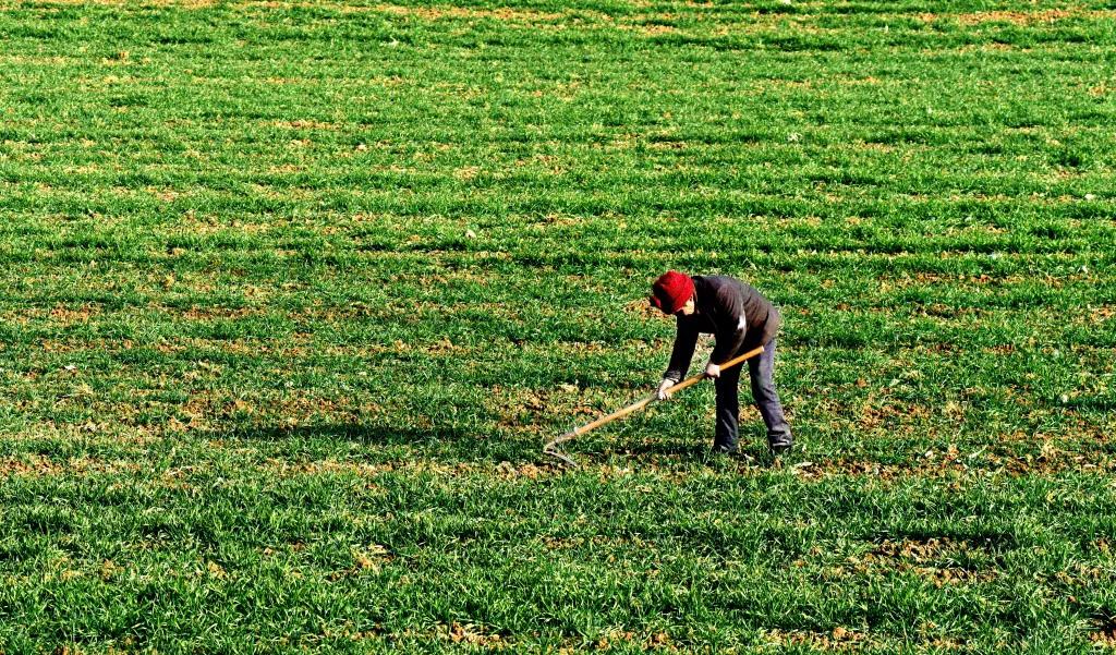 农民永久退出土地每亩补偿金额,农民退出土地一亩能补偿多少钱